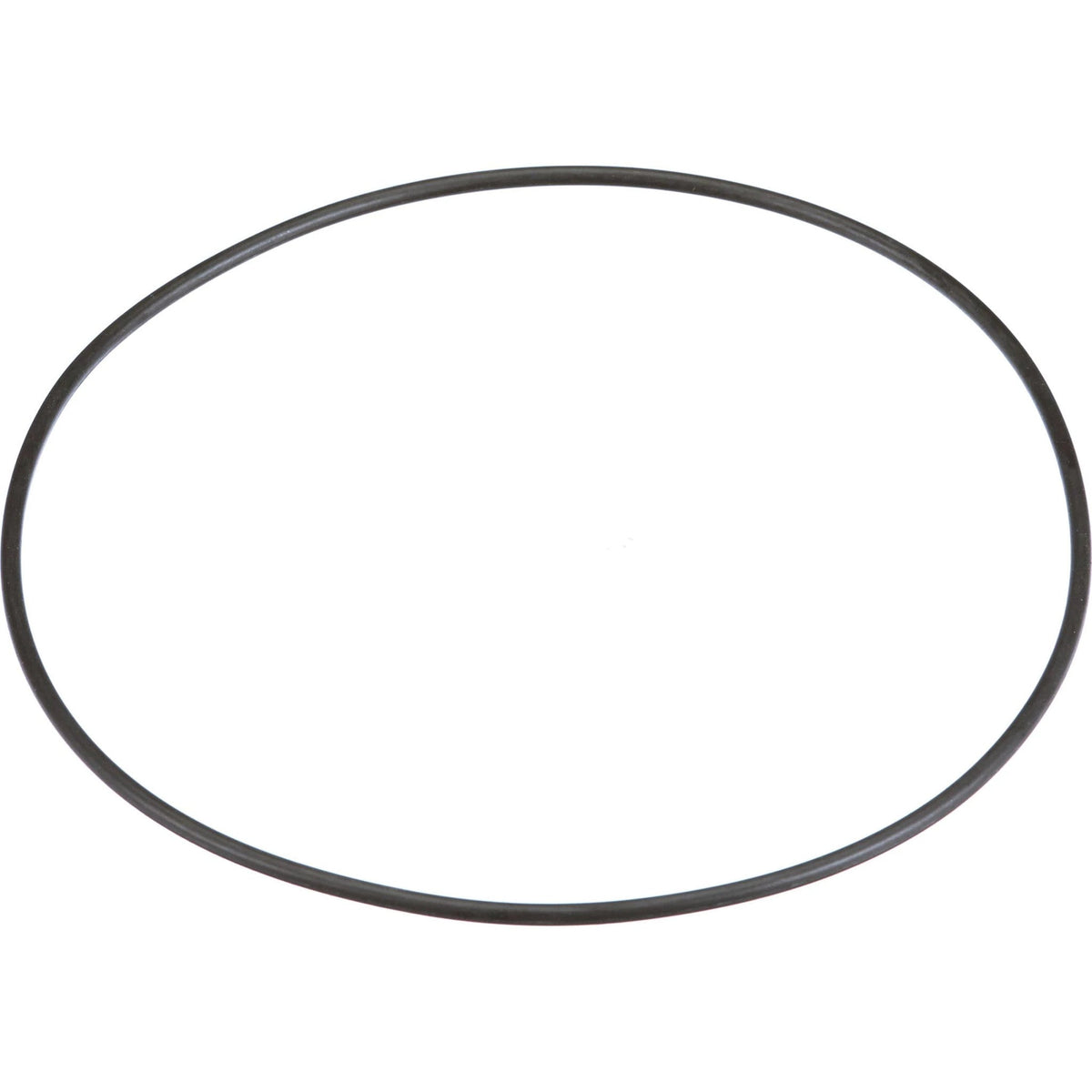 252176A1 - OEM O-RING - CASE CONSTRUCTION