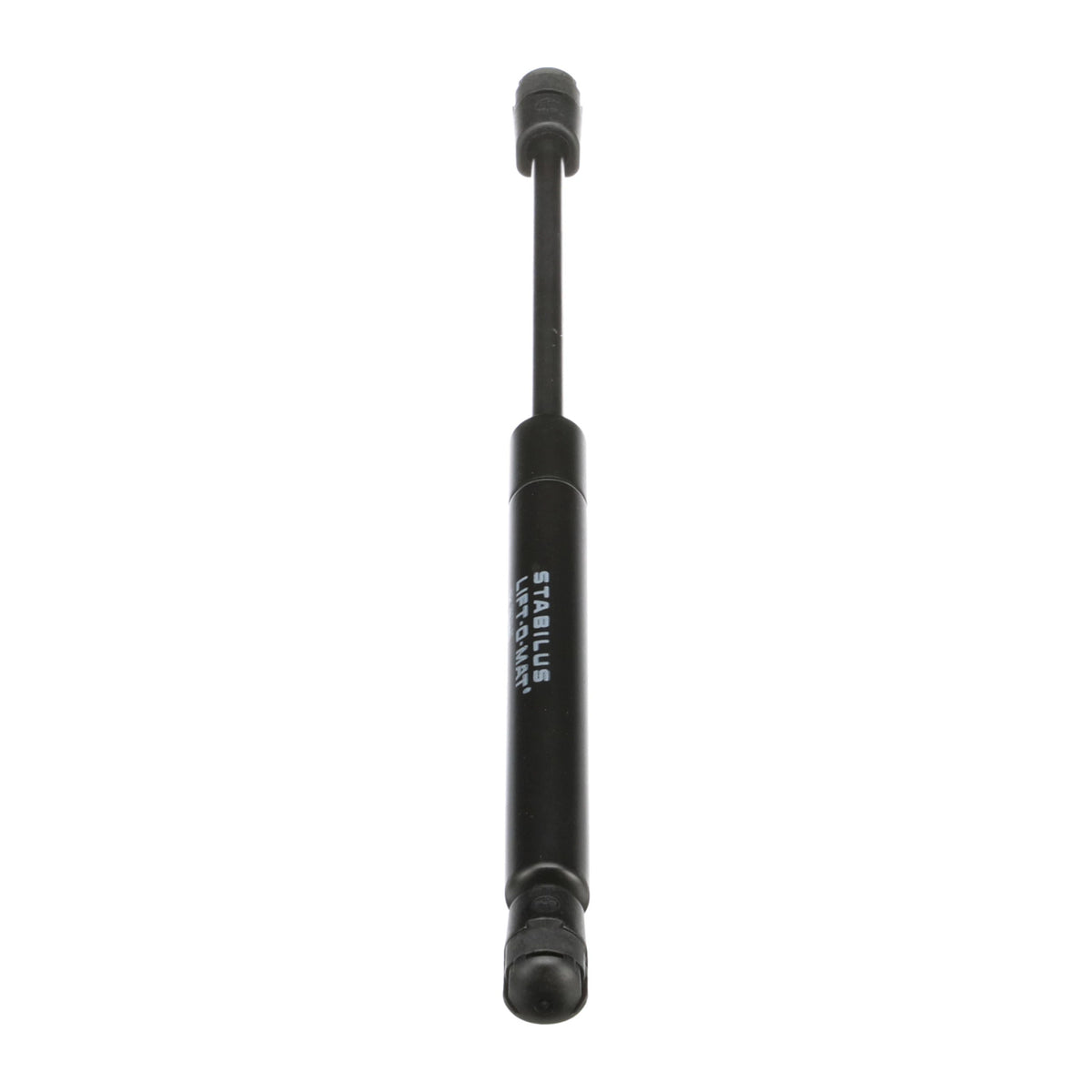252550A2 - OEM GAS STRUT - CASE CONSTRUCTION