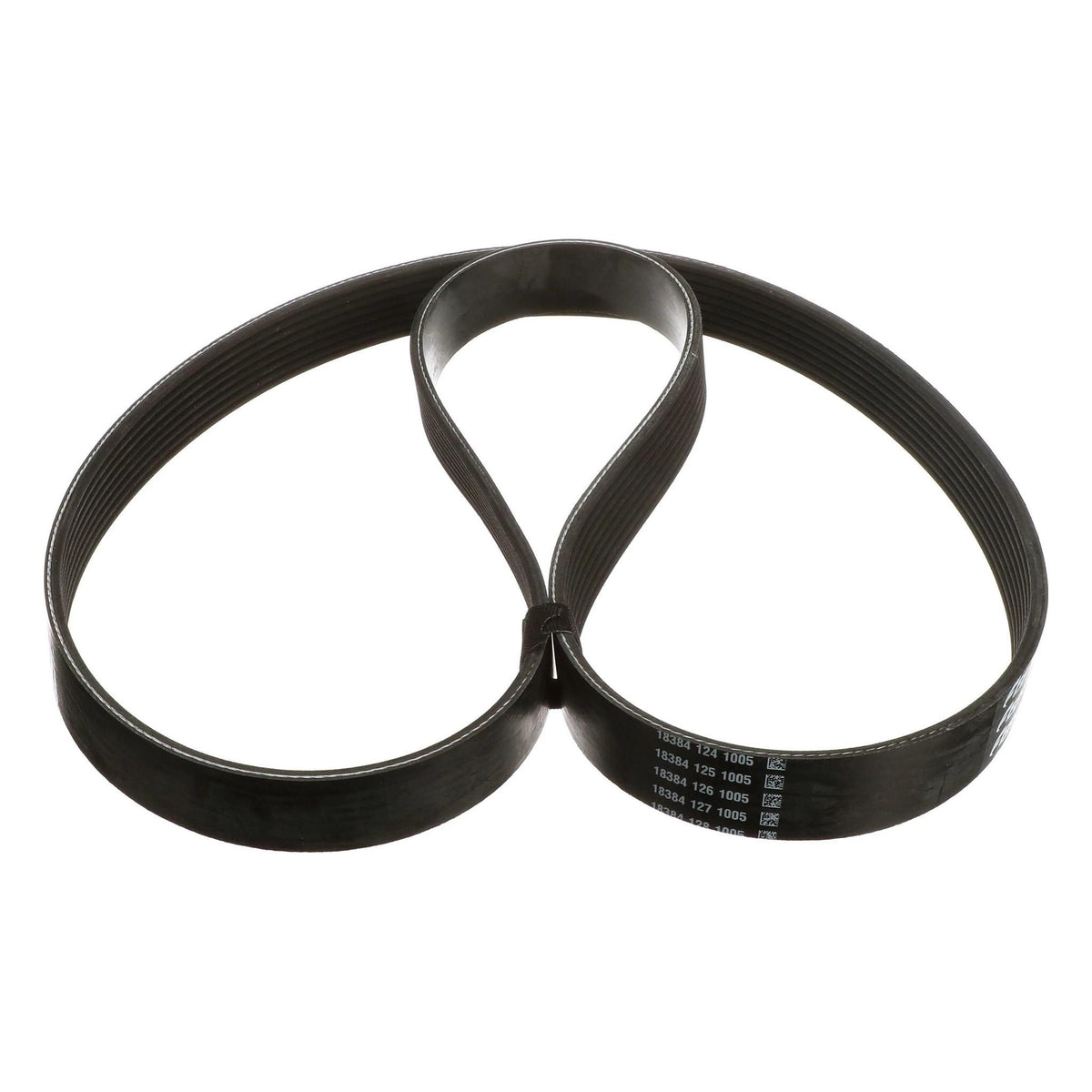 2855950 - OEM BELT - CASE CONSTRUCTION