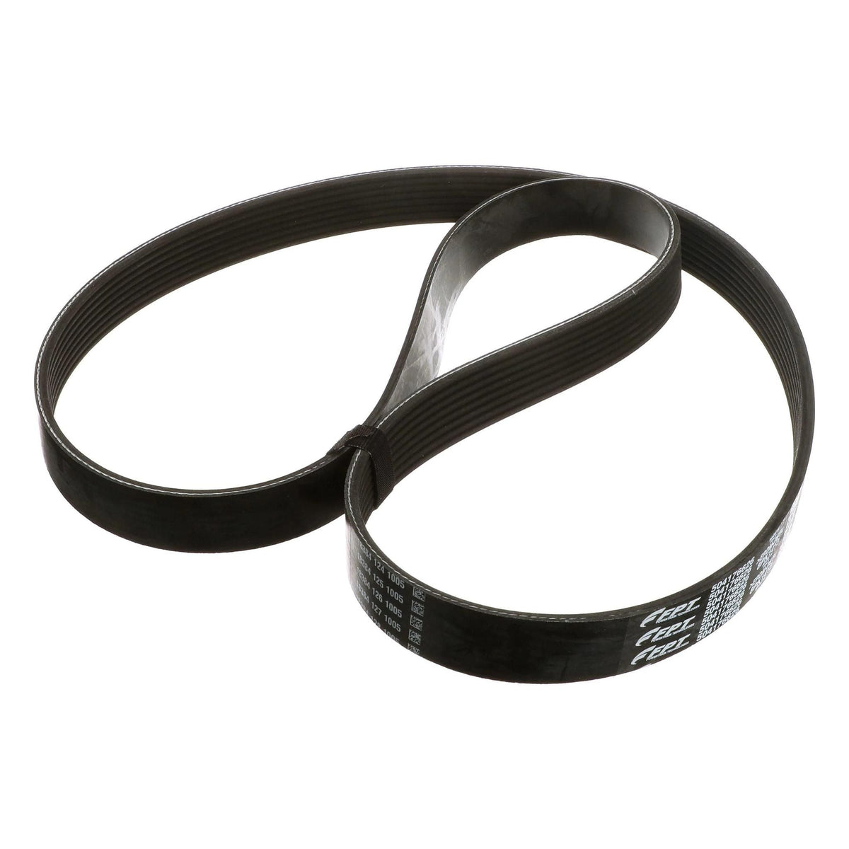 2855950 - OEM BELT - CASE CONSTRUCTION