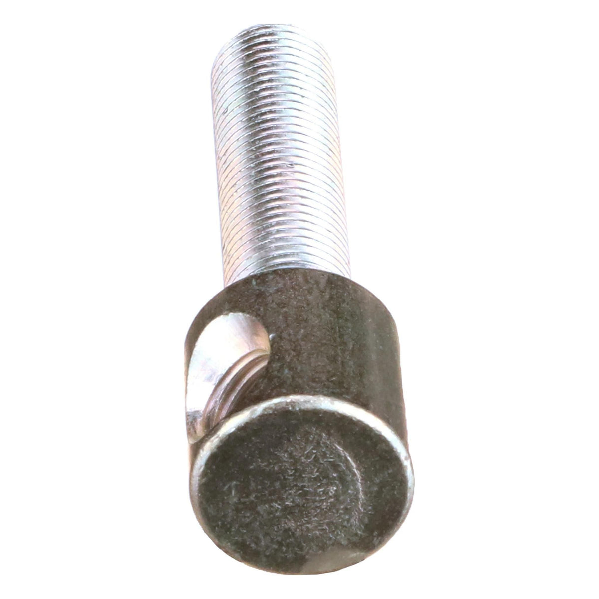 288759A1 - OEM SCREW - CASE CONSTRUCTION