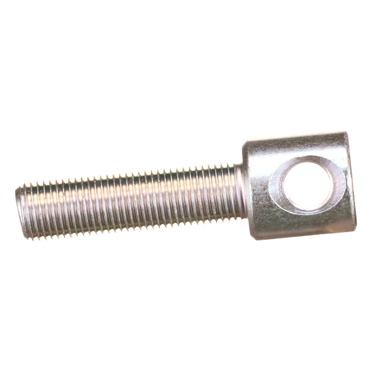 288759A1 - OEM SCREW - CASE CONSTRUCTION
