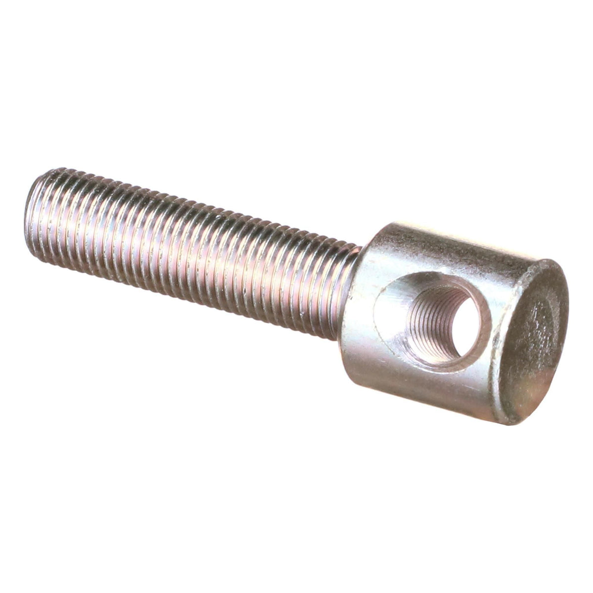 288759A1 - OEM SCREW - CASE CONSTRUCTION