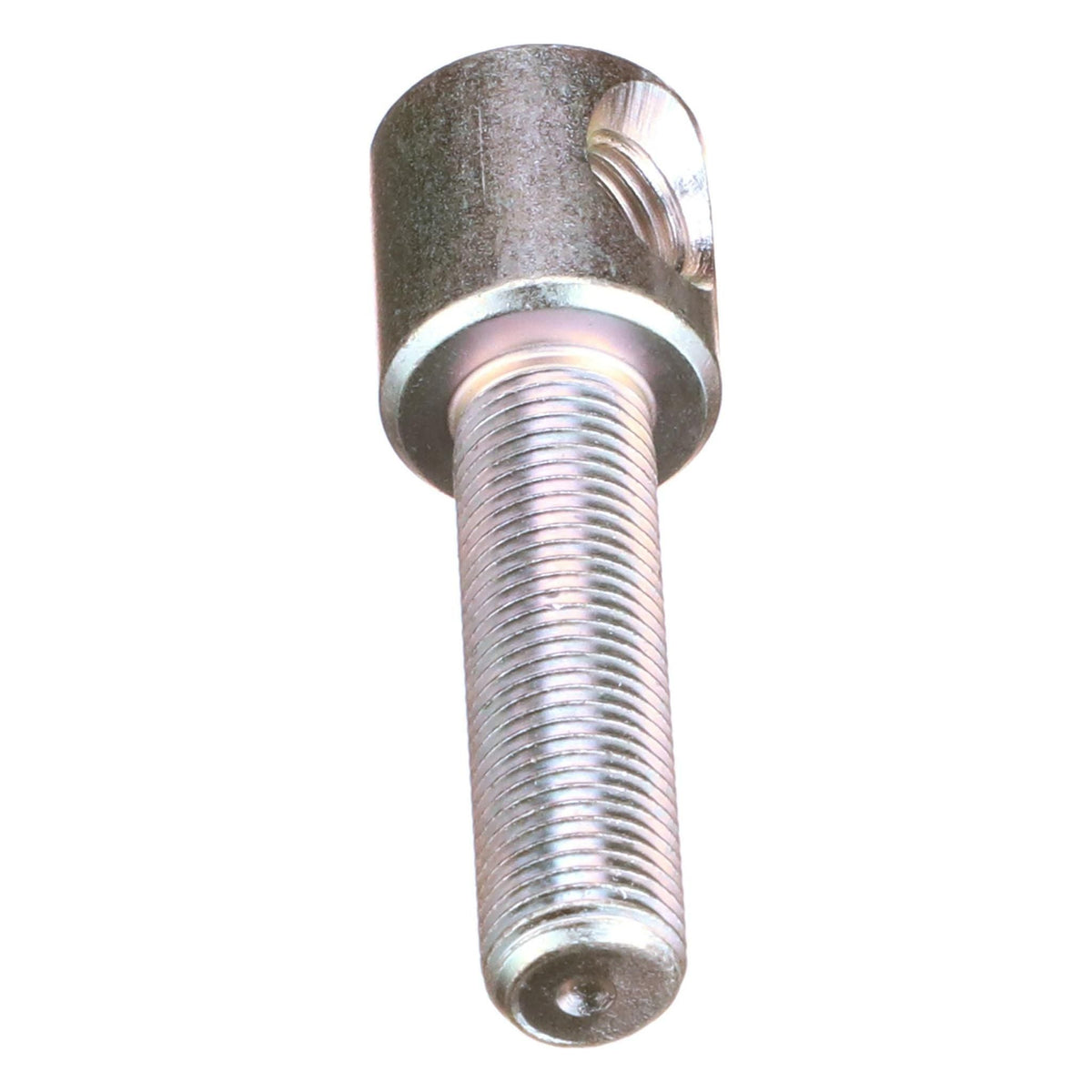 288759A1 - OEM SCREW - CASE CONSTRUCTION