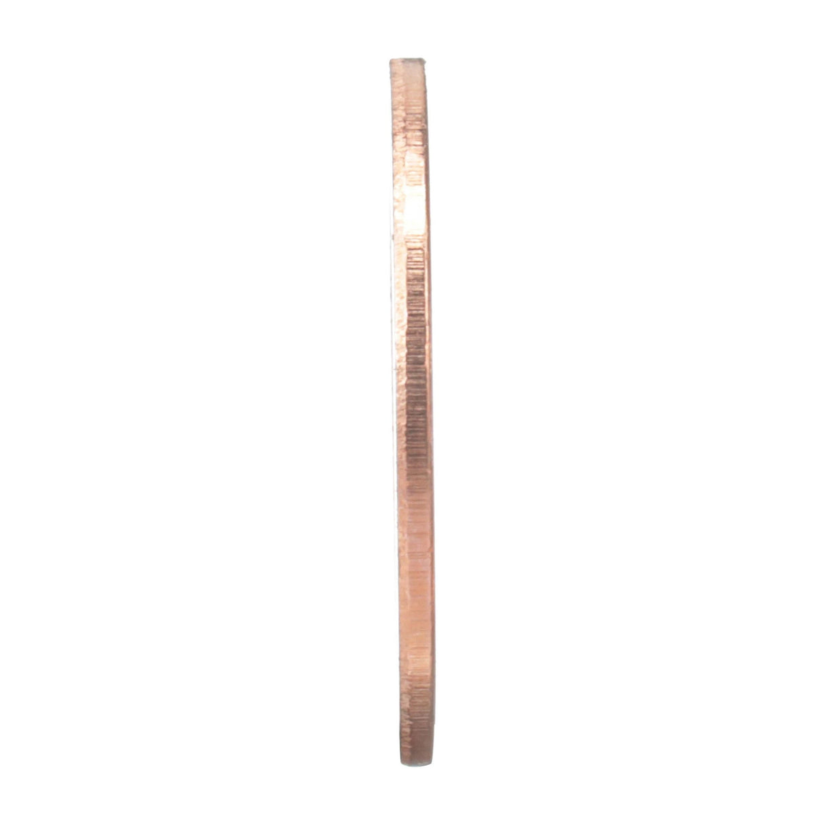 288854A1 - OEM GASKET - CASE CONSTRUCTION