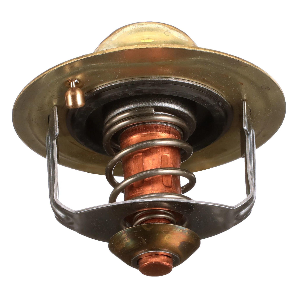 289205A1 - OEM THERMOSTAT - CASE CONSTRUCTION