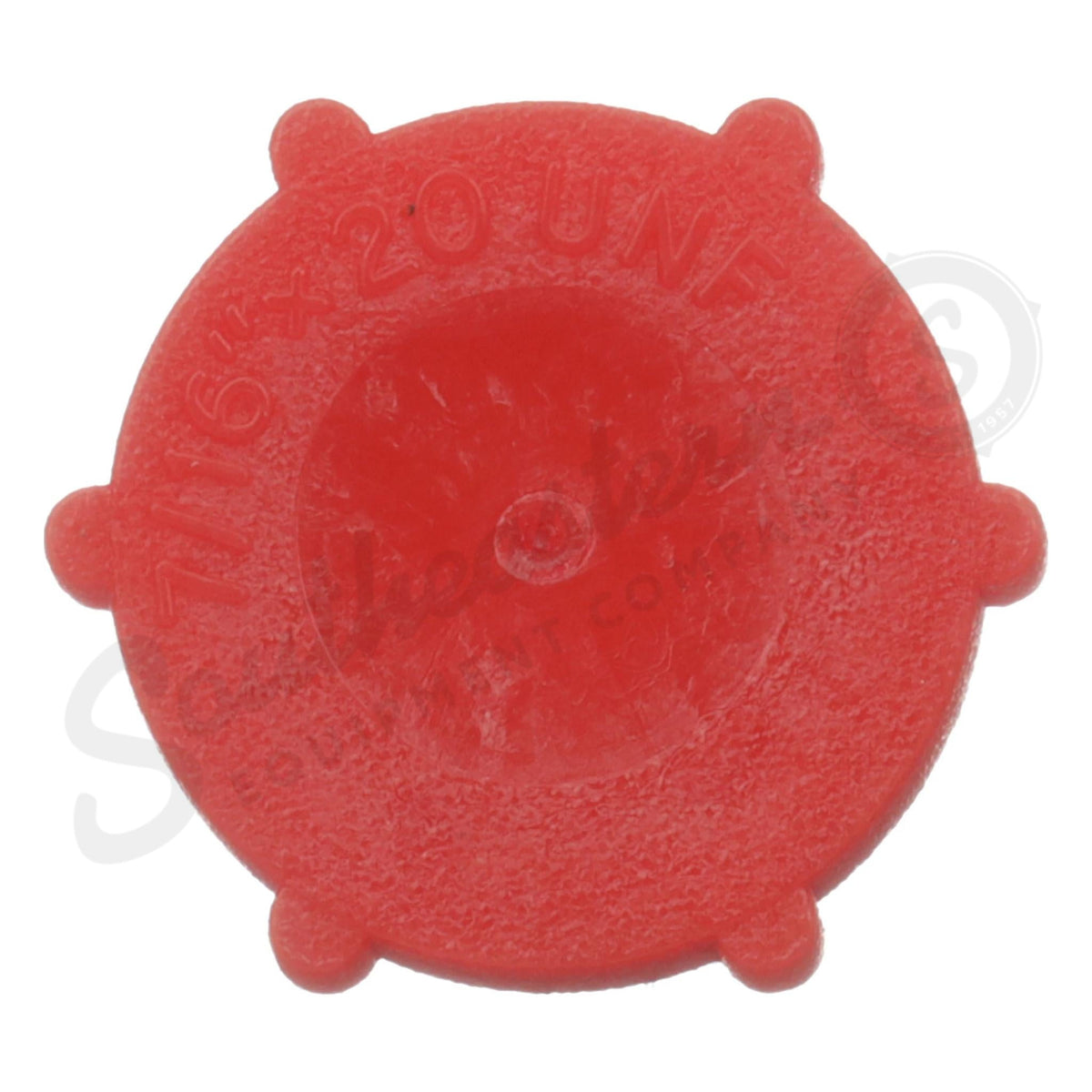 294245A1 - OEM CAP - CASE CONSTRUCTION