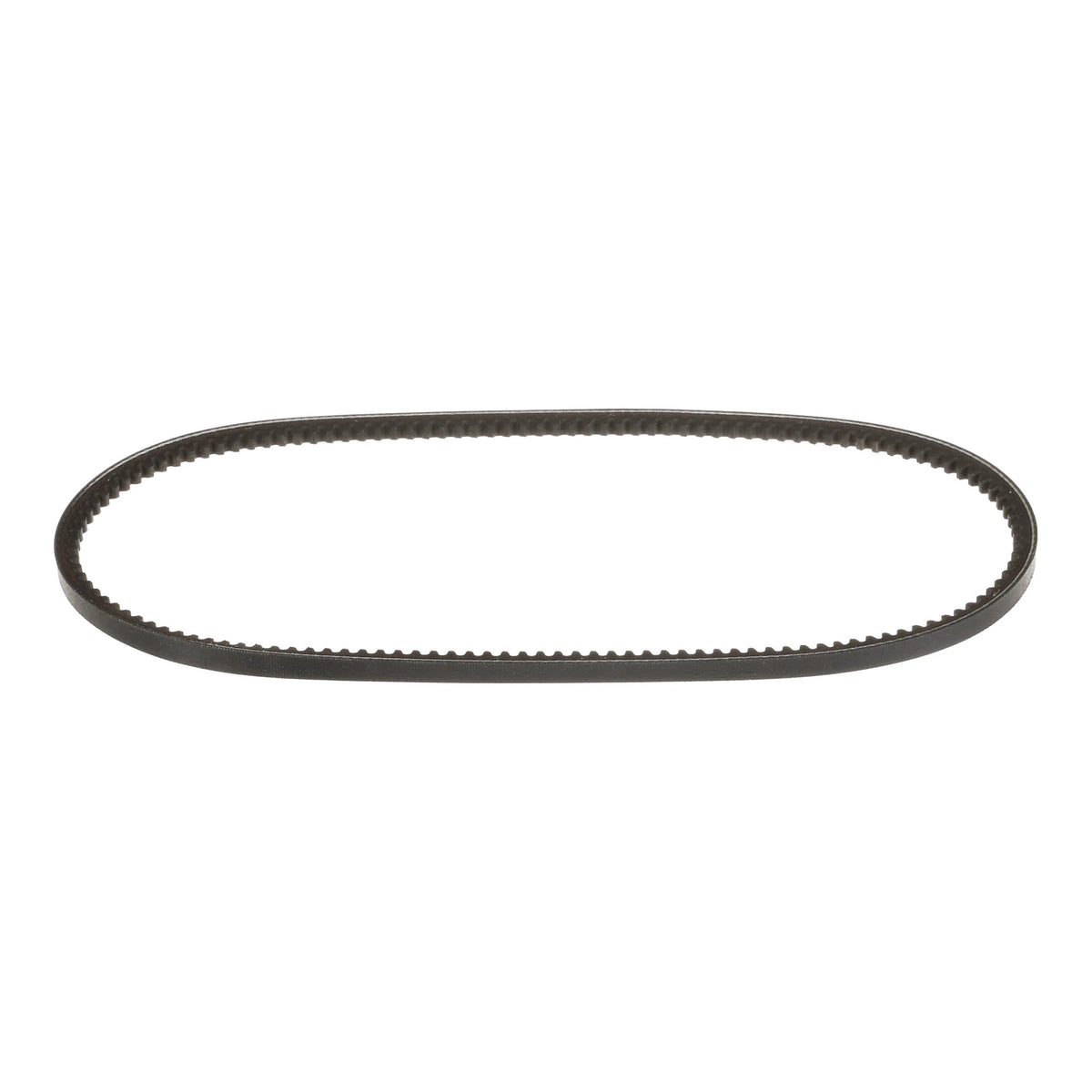 2987843 - OEM BELT - CASE CONSTRUCTION