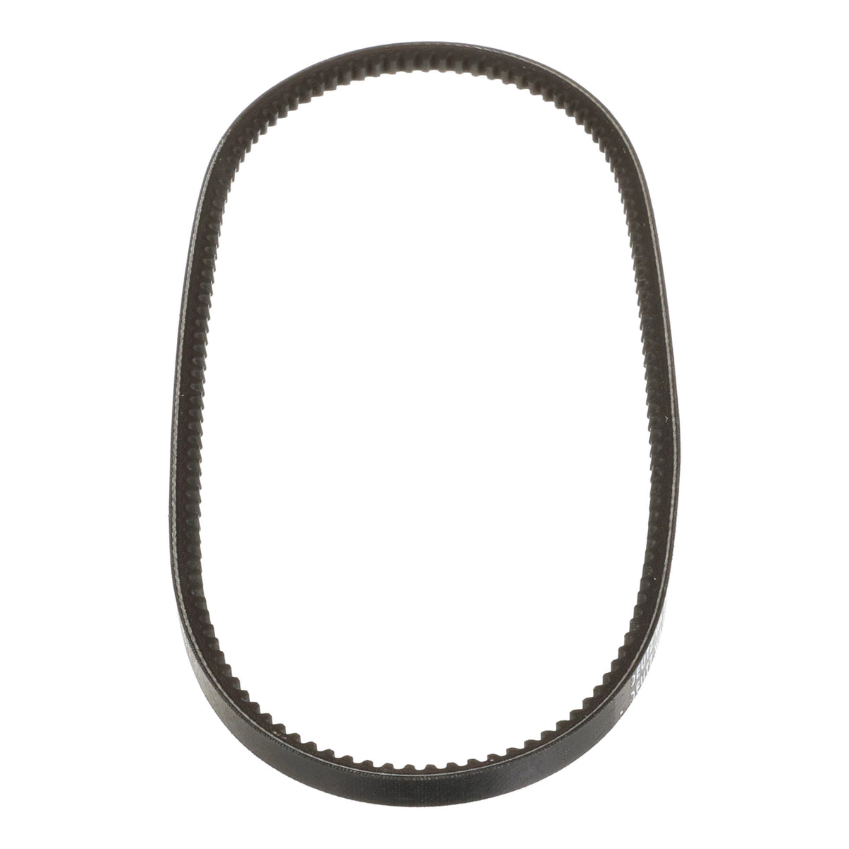 2987843 - OEM BELT - CASE CONSTRUCTION
