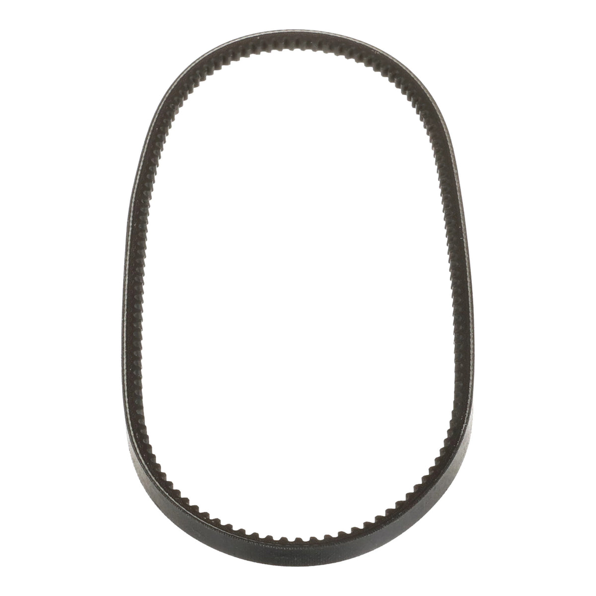 2987843 - OEM BELT - CASE CONSTRUCTION