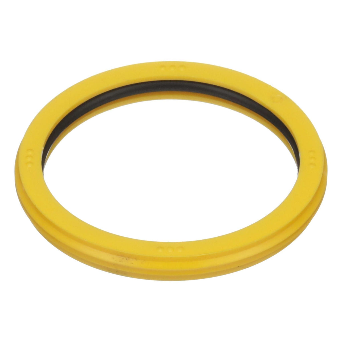 301316A1 - OEM HYDRAULIC CYLINDER SEAL KIT - CASE CONSTRUCTION