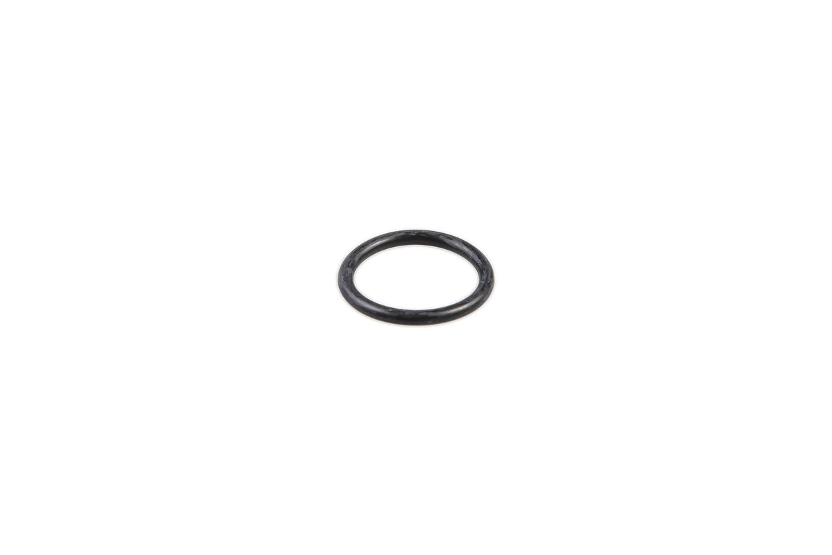 304967 - OEM O-RING - CASE CONSTRUCTION