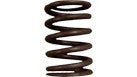 3055060R1 - OEM SPRING - CASE CONSTRUCTION
