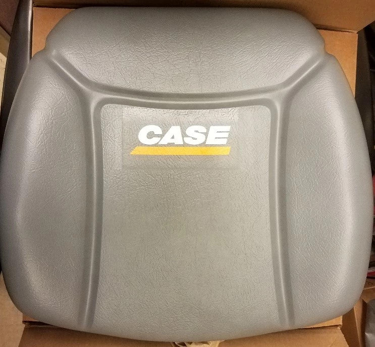 307095A1 - OEM SEAT BACK - CASE CONSTRUCTION