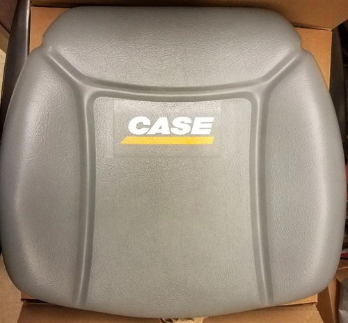 307095A1 - OEM SEAT BACK - CASE CONSTRUCTION