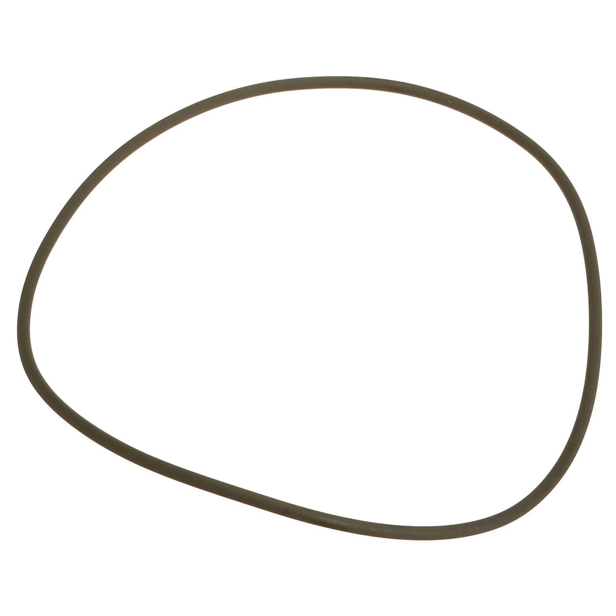 308036A1 - OEM O-RING - CASE CONSTRUCTION