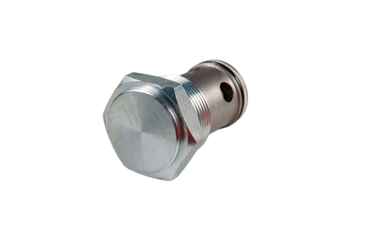 309789A1 - OEM CHECK VALVE - CASE CONSTRUCTION