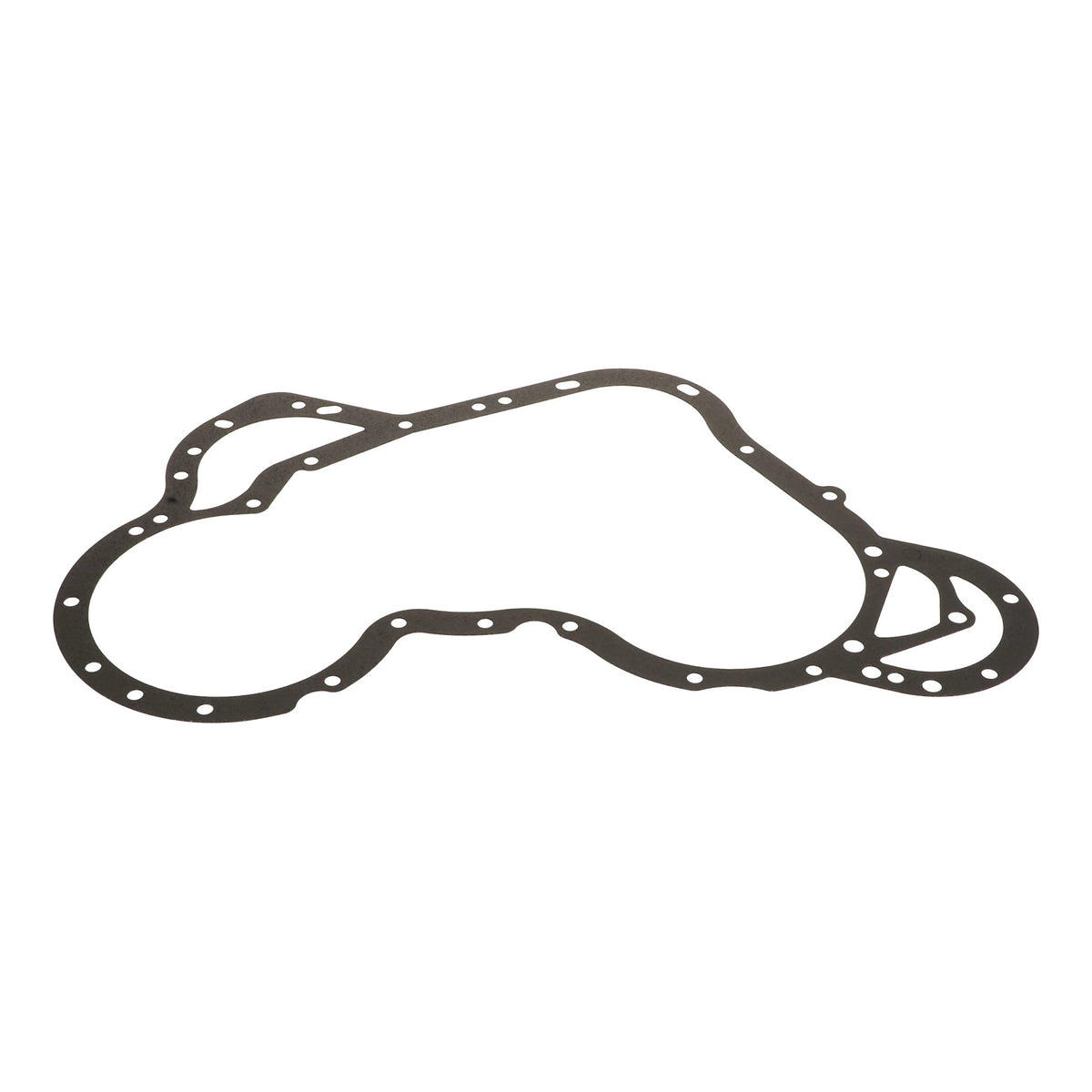 310721A1 - OEM GASKET - CASE CONSTRUCTION