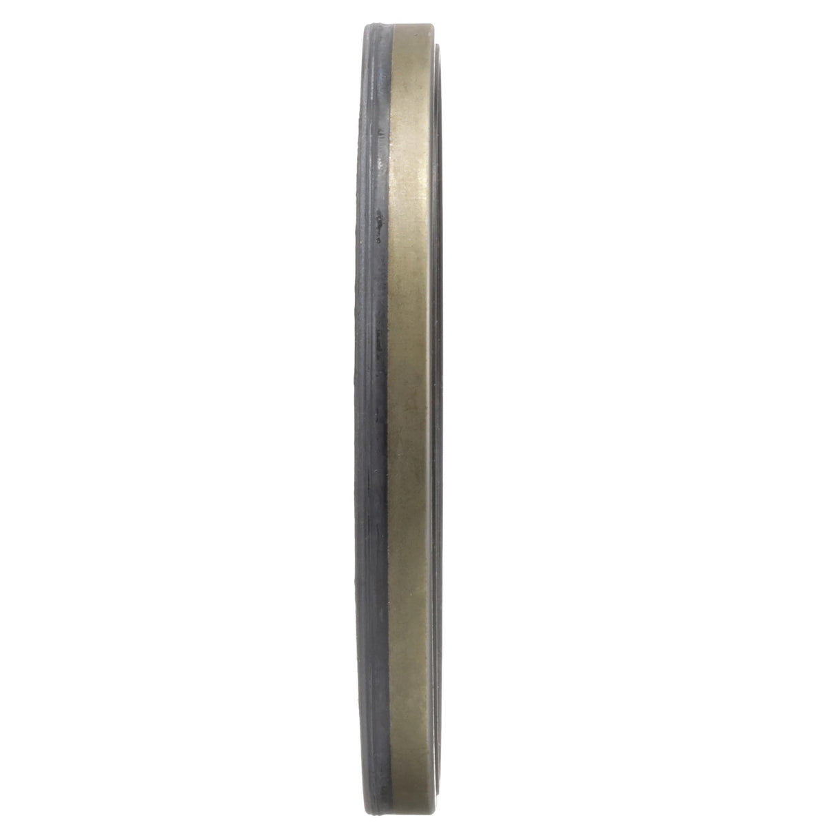 311569A1 - OEM OIL SEAL - CASE CONSTRUCTION