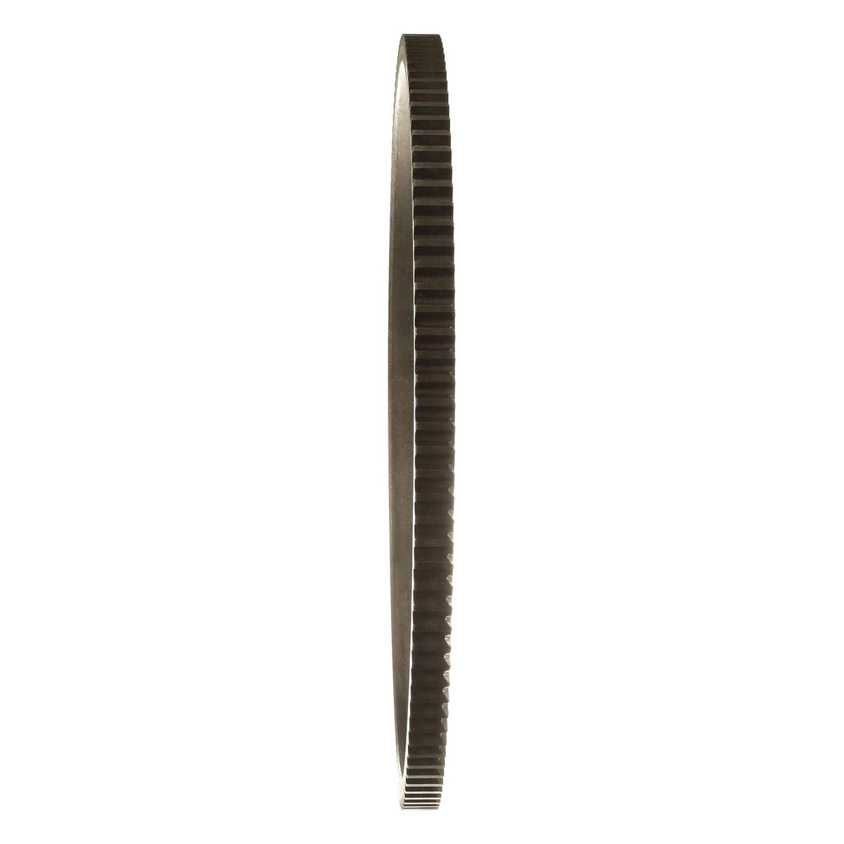 3118310R1 - OEM SLEWING RING - CASE CONSTRUCTION
