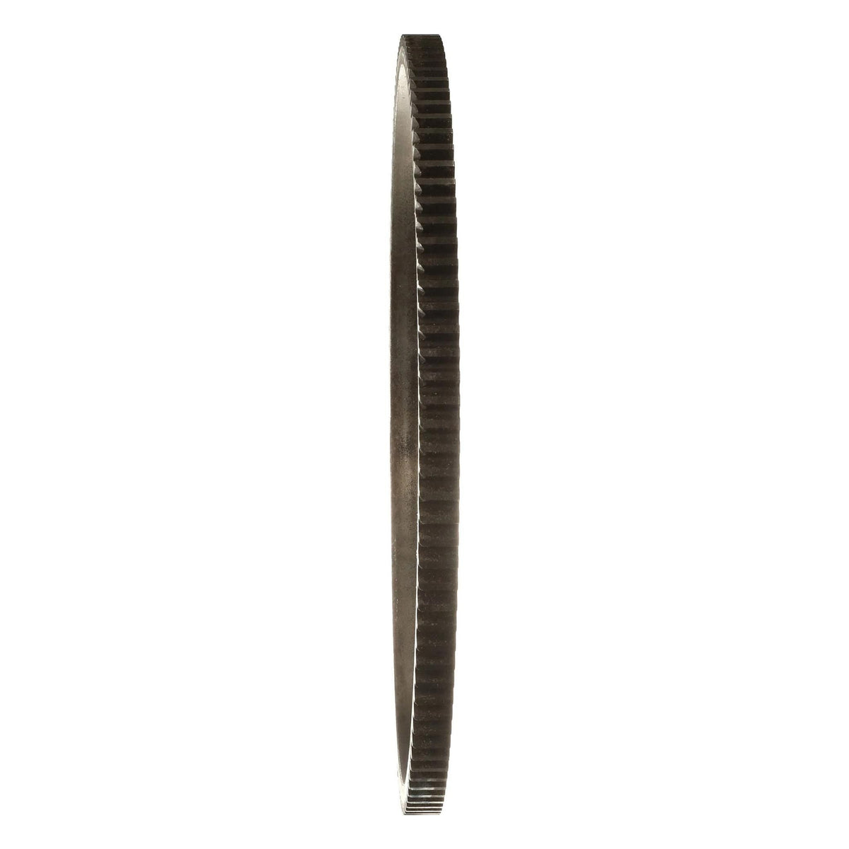 3118310R1 - OEM SLEWING RING - CASE CONSTRUCTION