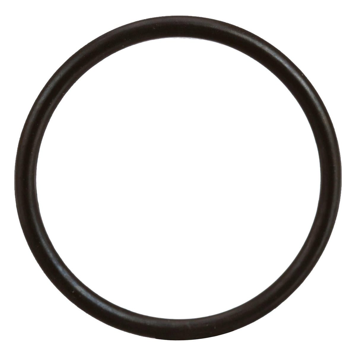 31354R1 - OEM O-RING - CASE CONSTRUCTION