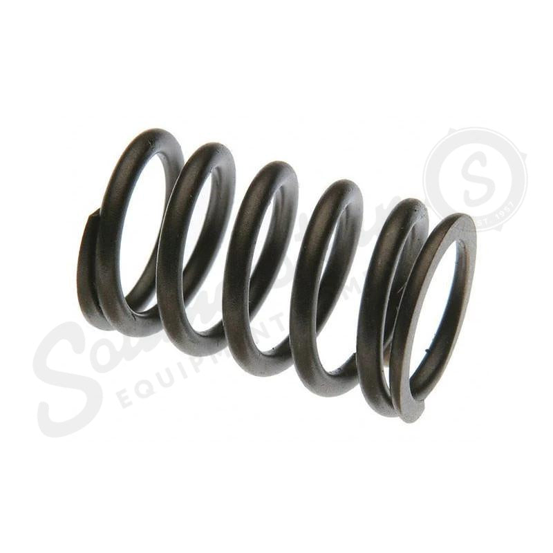 31825540X - OEM VALVE SPRING - CASE CONSTRUCTION