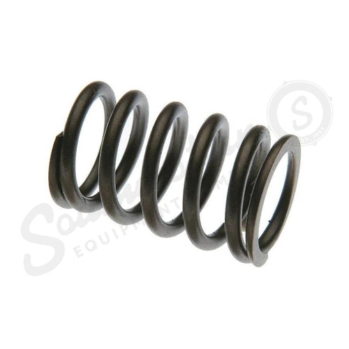 31825540X - OEM VALVE SPRING - CASE CONSTRUCTION