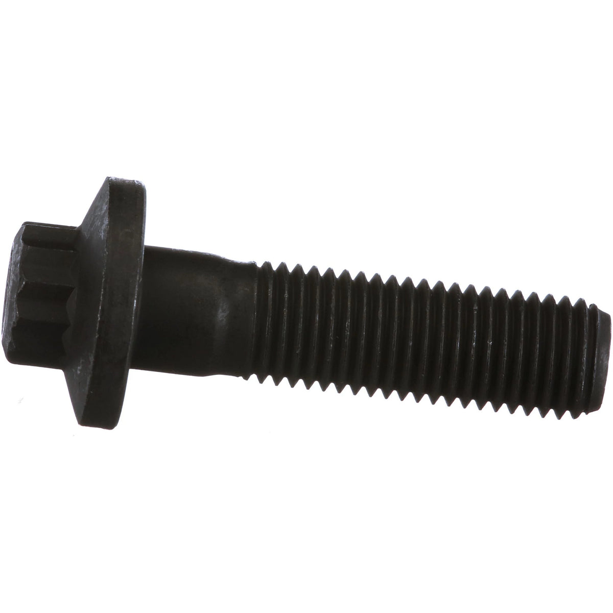 319619A1 - OEM BOLT - CASE CONSTRUCTION