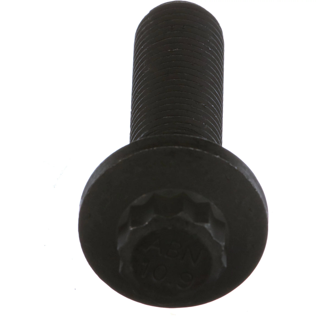 319619A1 - OEM BOLT - CASE CONSTRUCTION