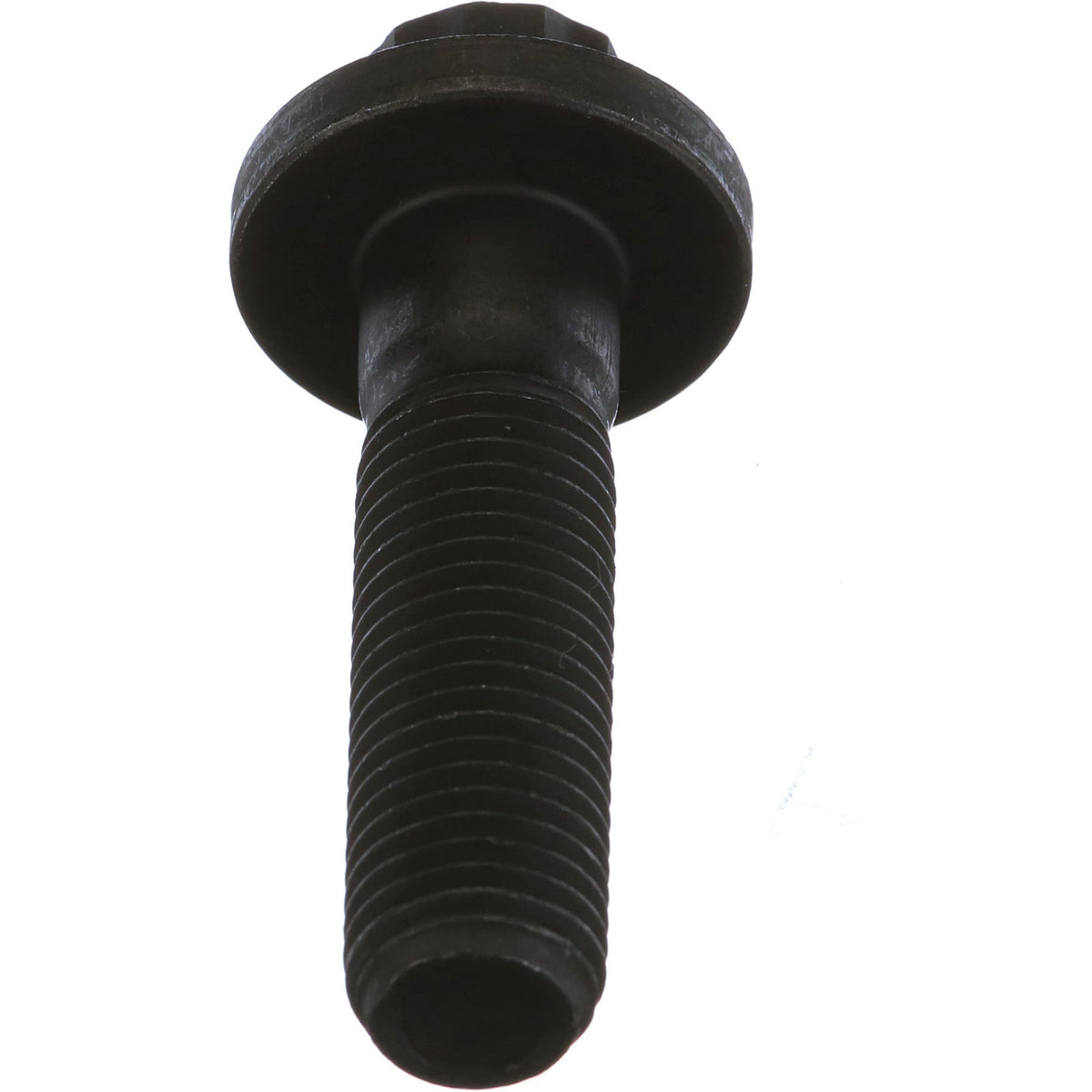 319619A1 - OEM BOLT - CASE CONSTRUCTION