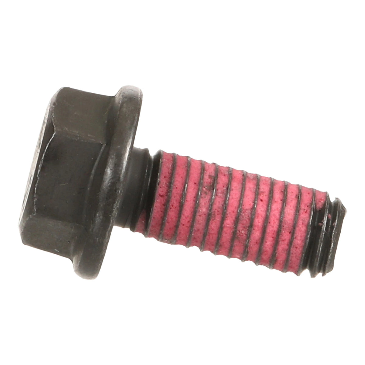 324791A1 - OEM SCREW - CASE CONSTRUCTION