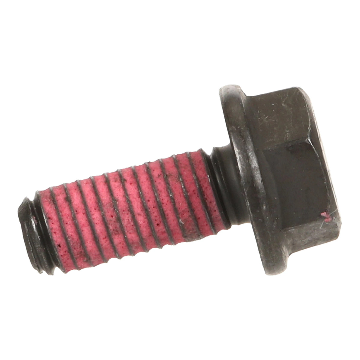 324791A1 - OEM SCREW - CASE CONSTRUCTION