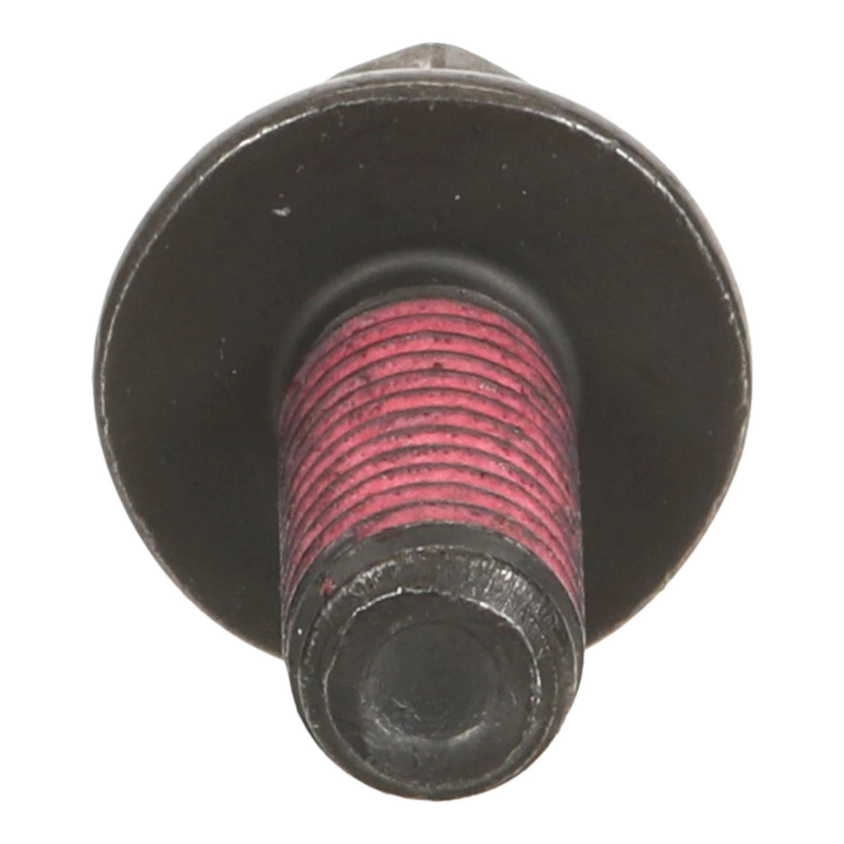324791A1 - OEM SCREW - CASE CONSTRUCTION