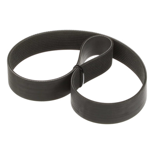 325289A1 - OEM BELT - CASE CONSTRUCTION