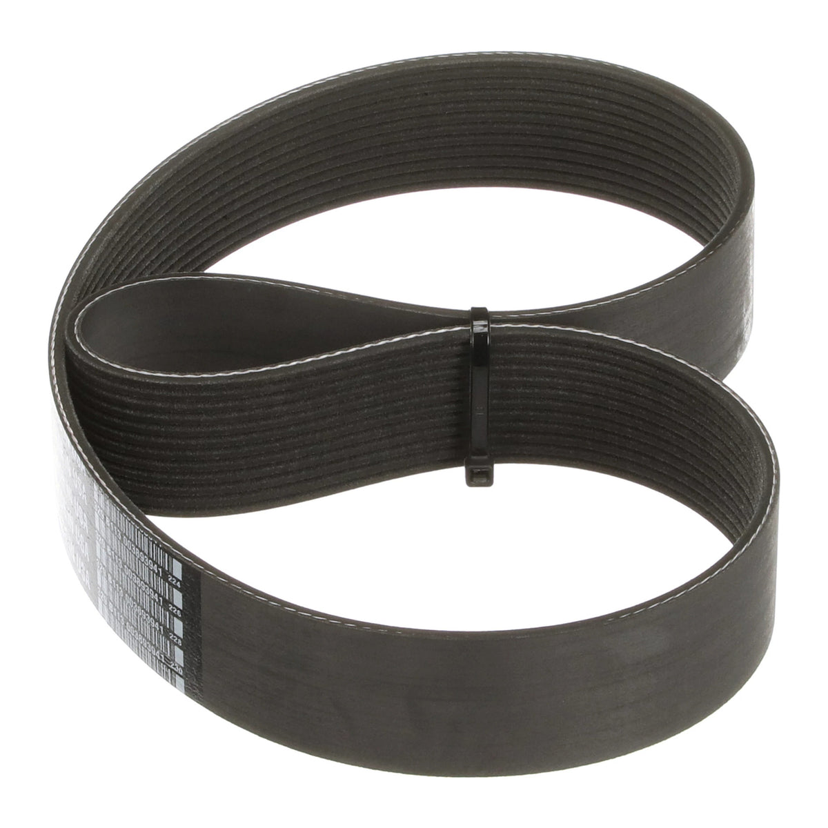 325289A1 - OEM BELT - CASE CONSTRUCTION