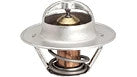 33196G - OEM THERMOSTAT - CASE CONSTRUCTION