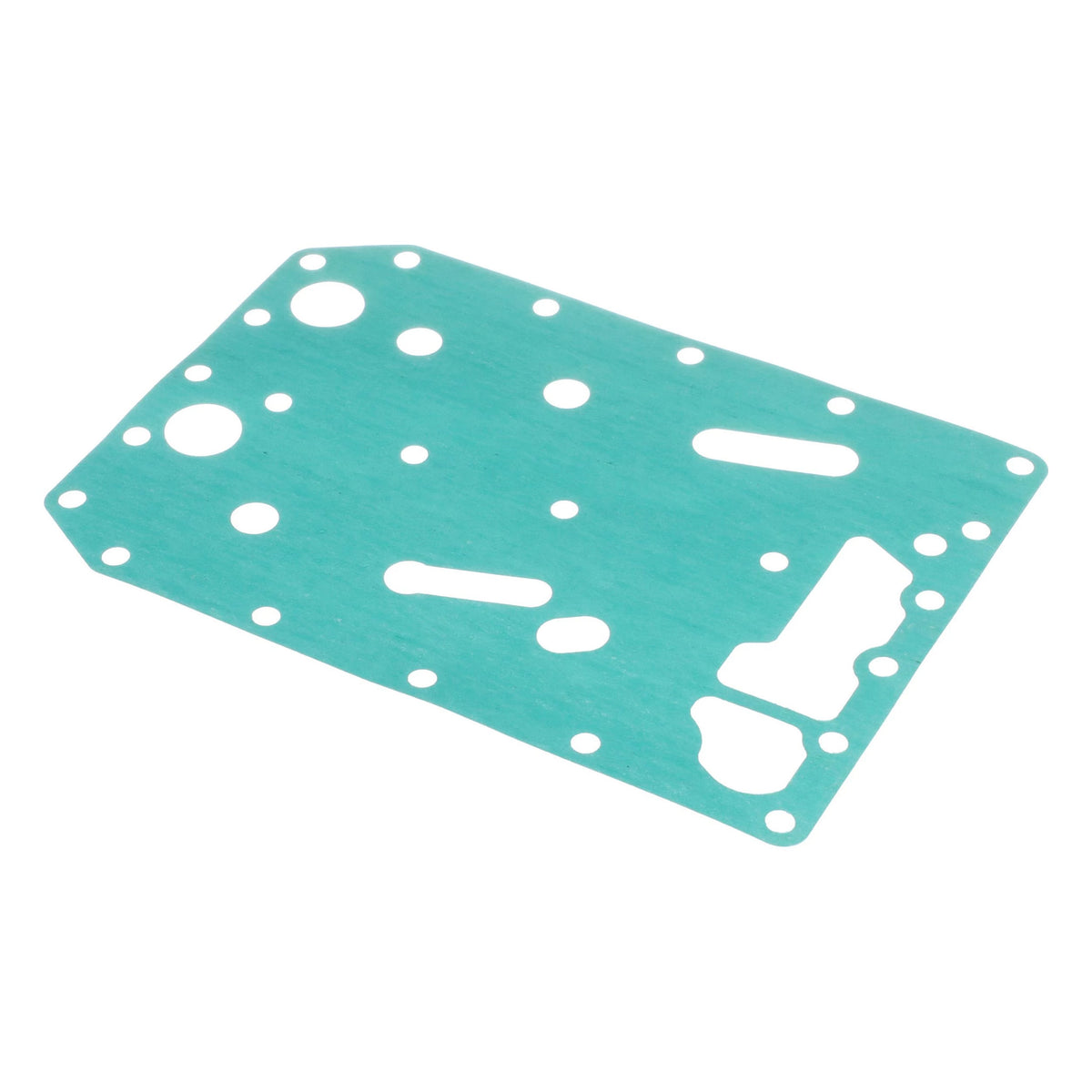 331986A1 - OEM GASKET - CASE CONSTRUCTION