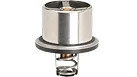 33579G - OEM THERMOSTAT - CASE CONSTRUCTION
