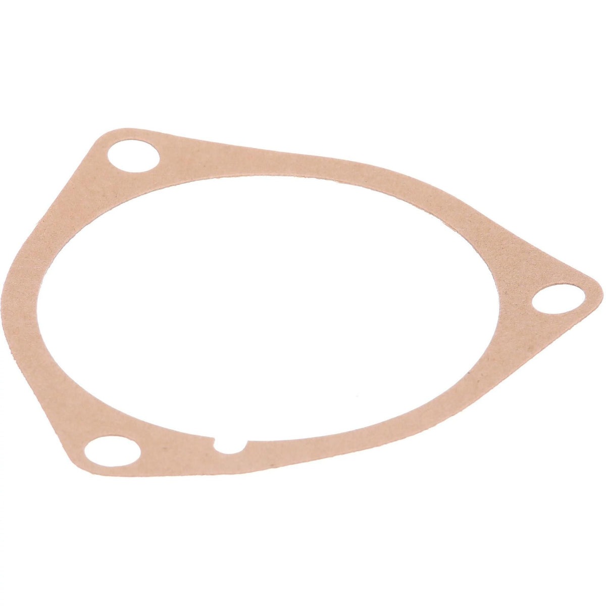 356679R1 - OEM GASKET - CASE CONSTRUCTION