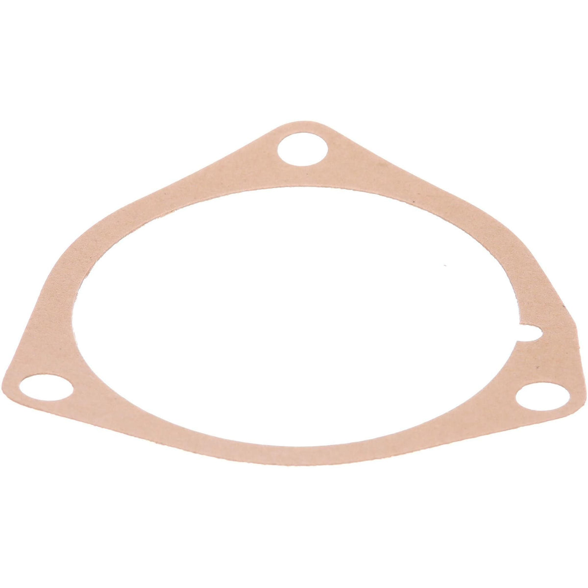 356679R1 - OEM GASKET - CASE CONSTRUCTION