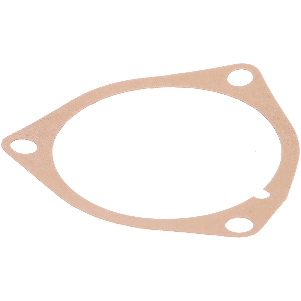 356679R1 - OEM GASKET - CASE CONSTRUCTION