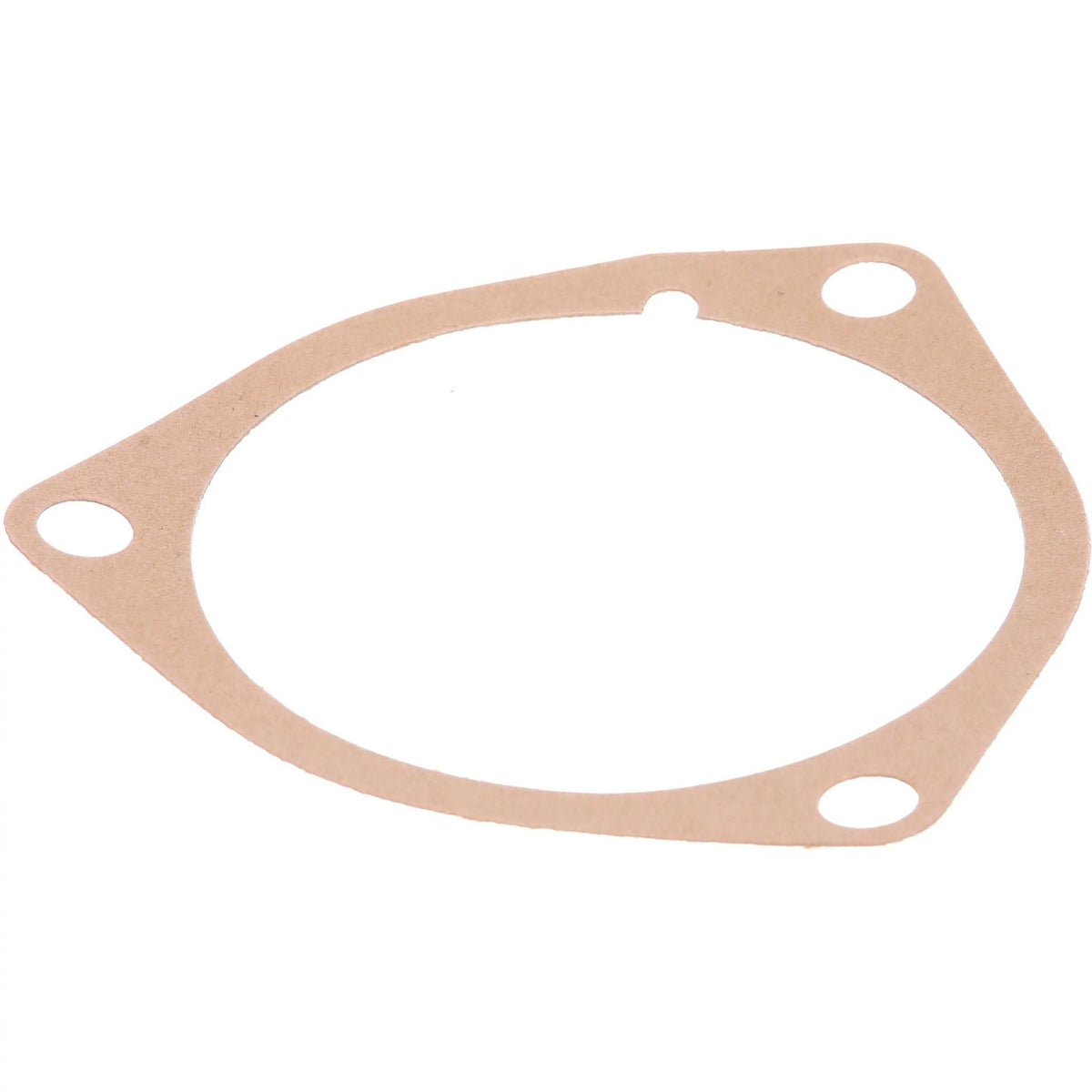 356679R1 - OEM GASKET - CASE CONSTRUCTION