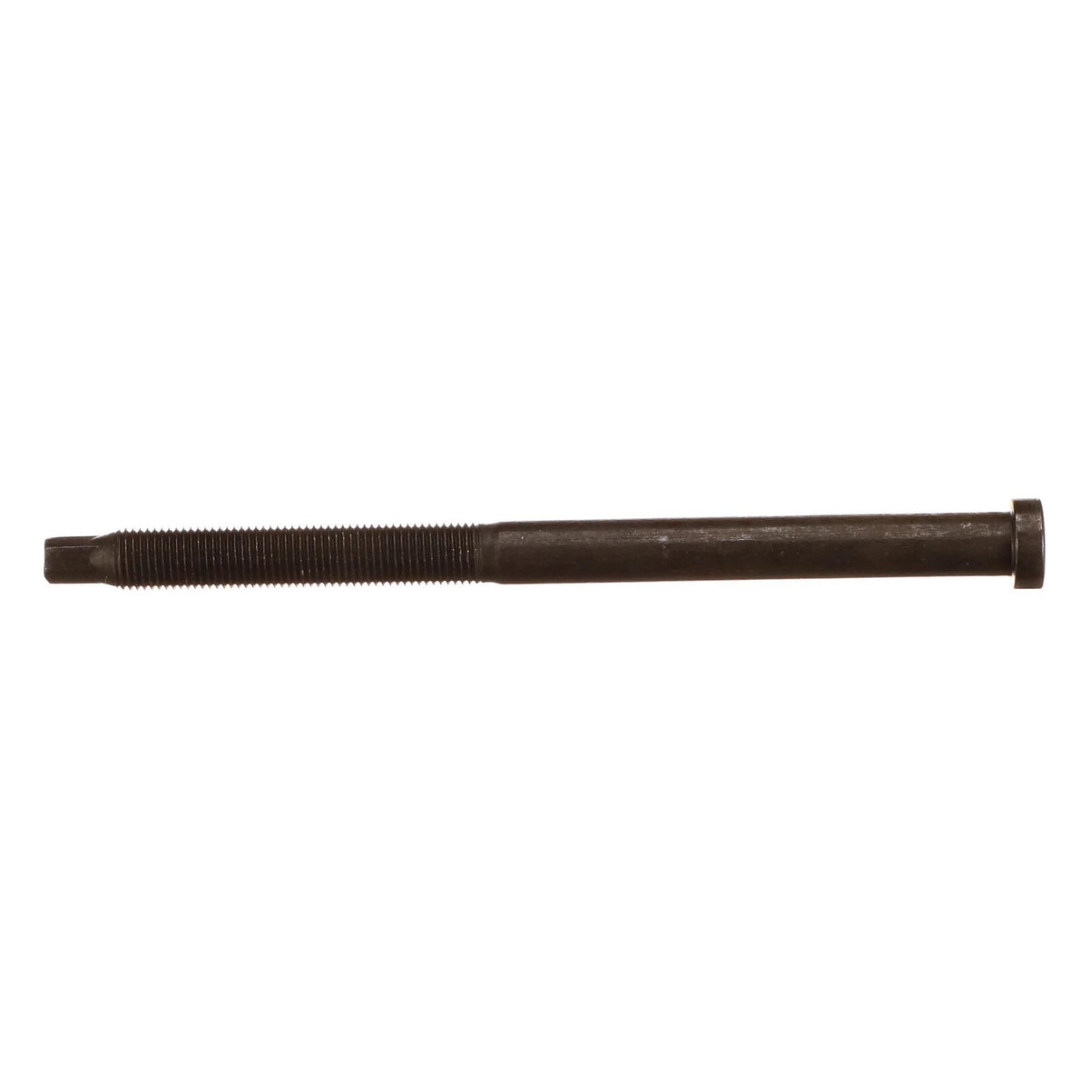 370531A1 - OEM SCREW - CASE CONSTRUCTION