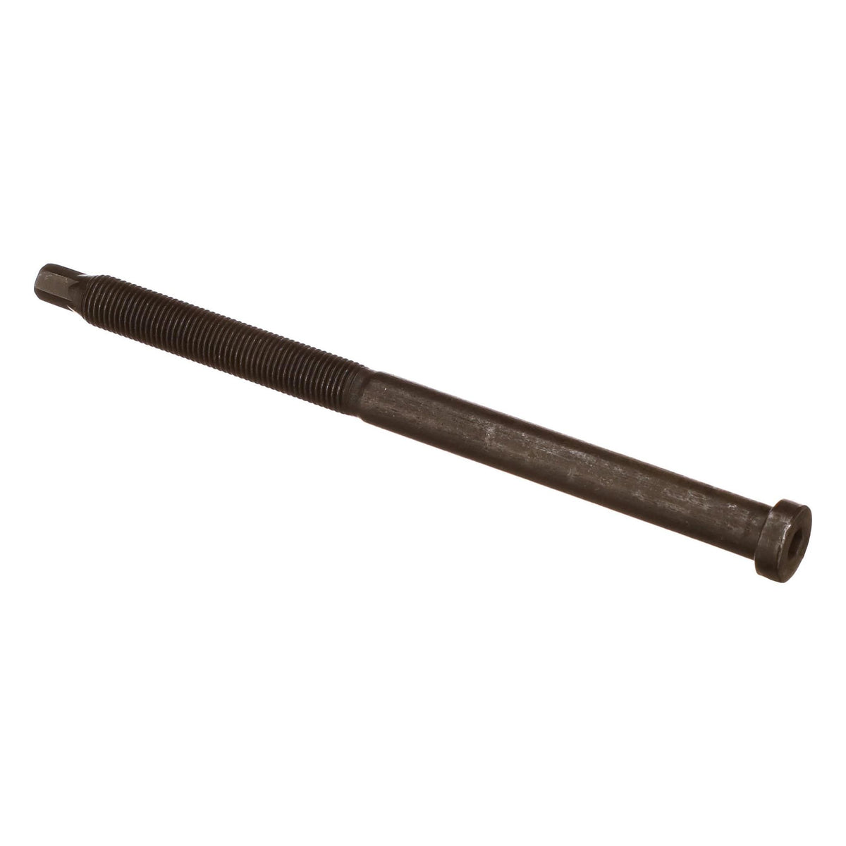 370531A1 - OEM SCREW - CASE CONSTRUCTION