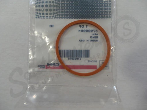 379959R1 - OEM Ring - Case Construction