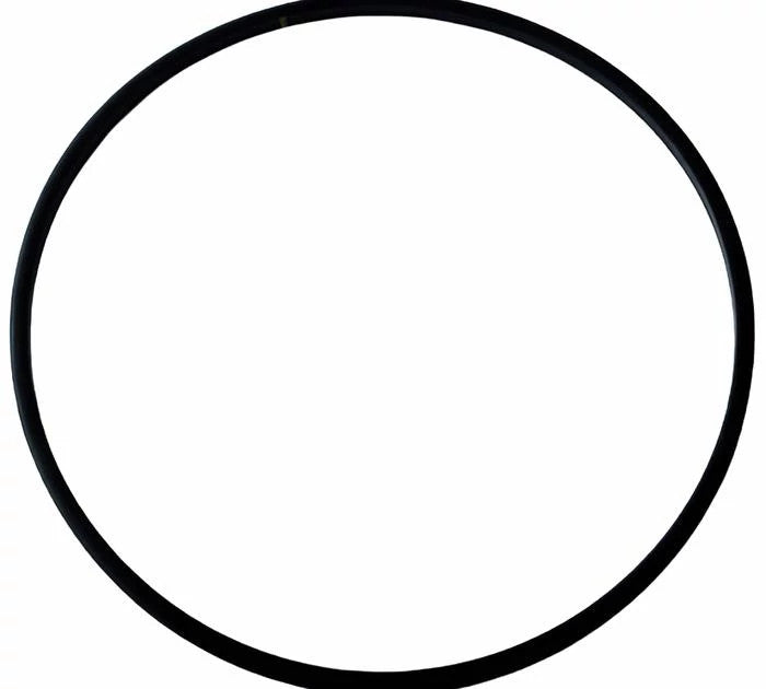 384398R1 - OEM SEAL RING - CASE CONSTRUCTION