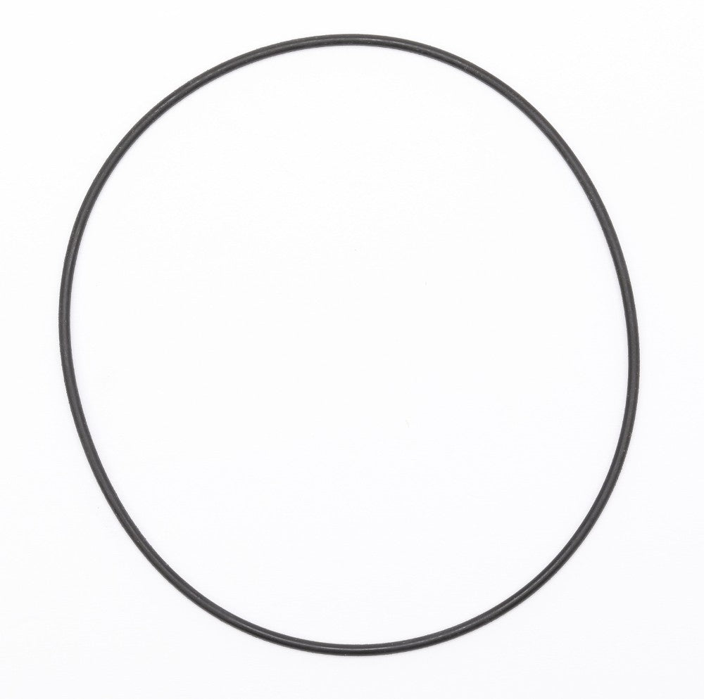 386566A1 - OEM O-RING WHEEL FLANGE PLUG - CASE CONSTRUCTION