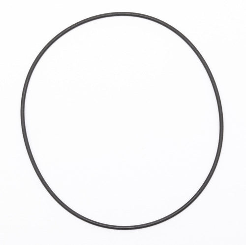 386566A1 - OEM O-RING WHEEL FLANGE PLUG - CASE CONSTRUCTION