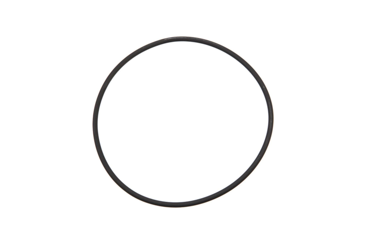 387176A1 - OEM O-RING - CASE CONSTRUCTION
